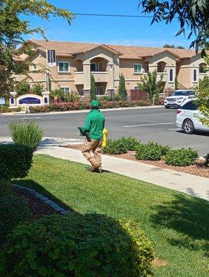 MOONFLOWER GARDENS SERVICE