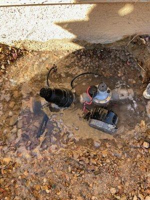 Capistrano Homeowners Association