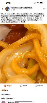 Noodles with maggots served in it