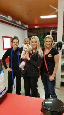 The Dog Stop Monroeville