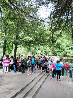 Twin Bridge Travel And Service