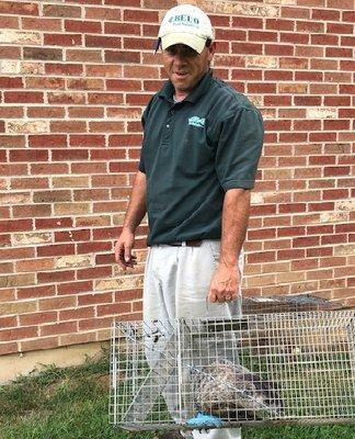 Bel-O Pest Solutions