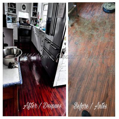 OMV Homes Cleaning Services