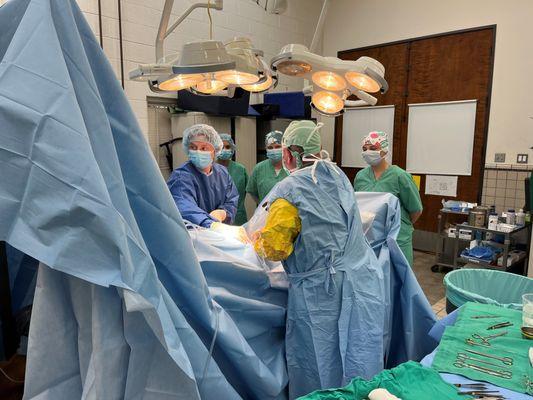 Humphrey Giacopuzzi & Associates Equine Hospital