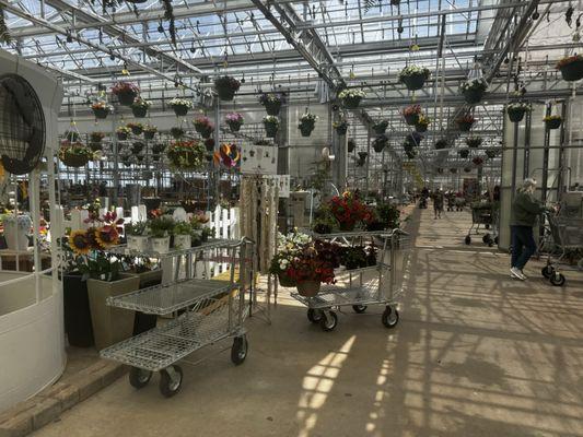 Woldhuis Farms Sunrise Greenhouse