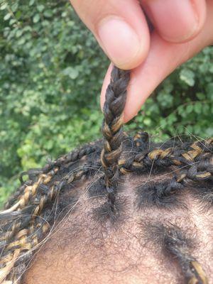 Uneven feeding, loose and pewny roots, didnt feed in but a few inches.