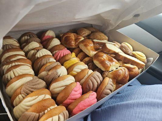 80 mini panesitos. Delicioso!