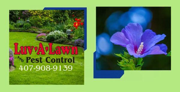 Luv-A-Lawn and Pest Control