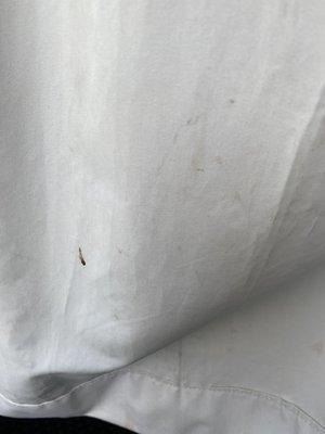 Sleep Inn Savannah Gateway I-95