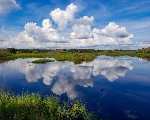 Gray Photography Art & Design