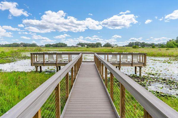 Lakeshore at Lake Andrew