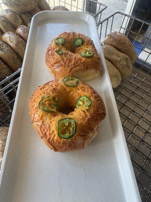 Bagel Land