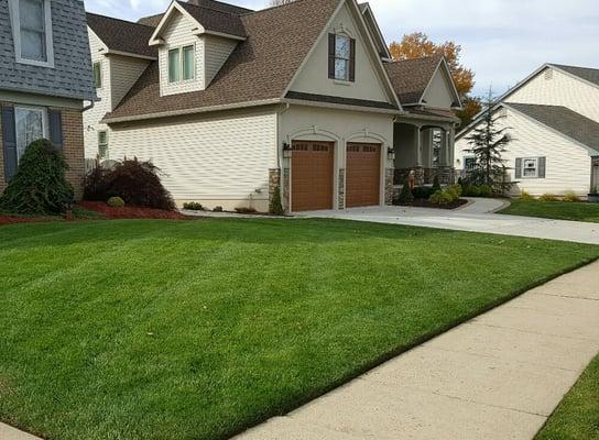 4 Seasons Landscaping & Lawn Care