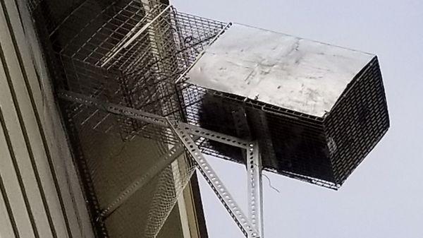 Denver Pest And Wildlife Solutions