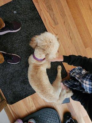 The back of her hair is cut uneven.