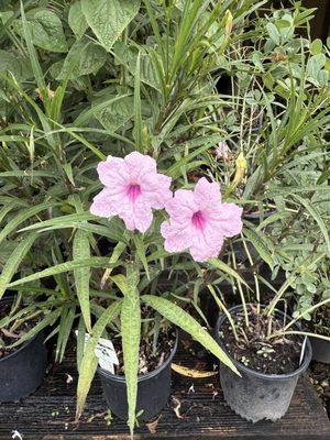 Appletree Landscaping & Garden Center