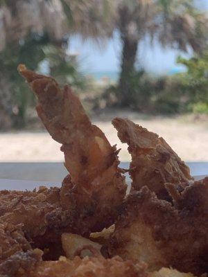 Excellent coconut shrimp, with wonderful mango salsa, with a Gulf view.
