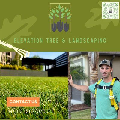 Elevation Tree & Landscaping