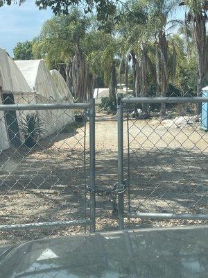 DR Cactus Succulents