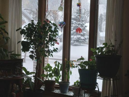 Weinstein Hammons Gallery