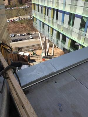 Sherman and Joyce Bowie Scott Hall