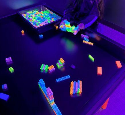 Snapology of New Tampa, FL