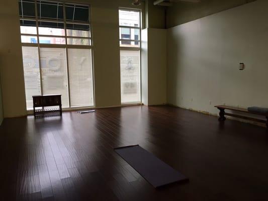 Brand new hardwood floors, and nice light.
