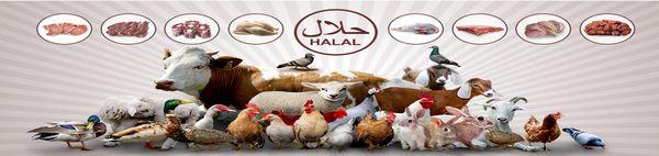 Archer Halal Live Poultry & Meats