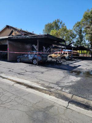 Green Tree Park Apartments
