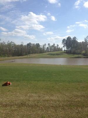 Bartram Trail Golf Club
