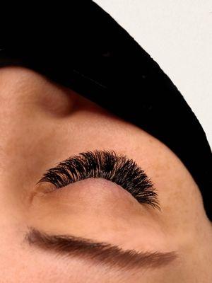 Volume Lashes