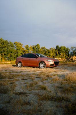 Wild Side Performance