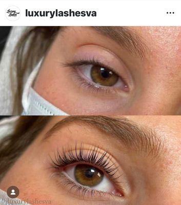 Luxury Lashes