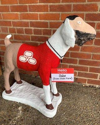 Hello my name is Jake (from State Farm)