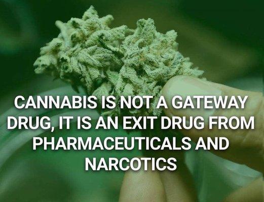 Medical Marijuana Doctor in Jacksonville, Florida