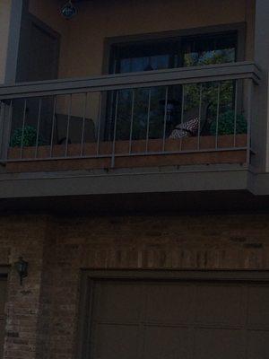 This is a nice, classy patio. This homeowner definitely has a sense of style.