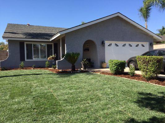 Brush N Roll Painting