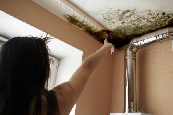 Minneapolis Water Damage Specialist 24/7, MN Mold Remediation