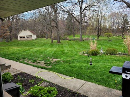United Property Maintenance & Landscape
