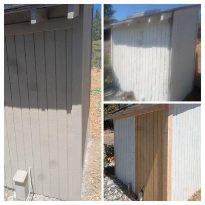 Dry rot repair on pump shed