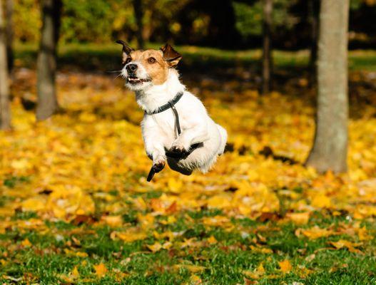 Yeah! Classes forming now!