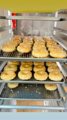 Hot Glaze donuts