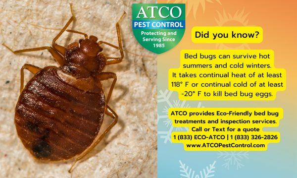 ATCO Pest Control