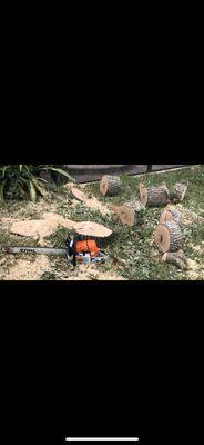 Big Boys Tree Service