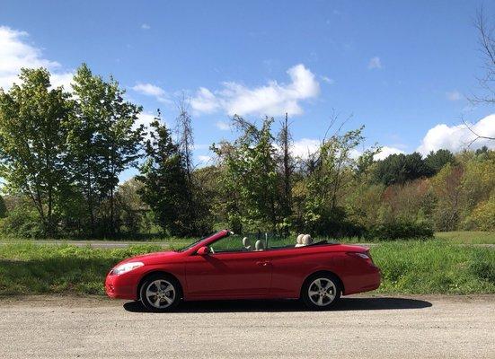 Elmwood Auto Sales MA