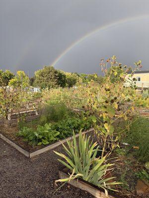 Samuels Elementary School