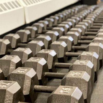 ISF Fitness Equipment