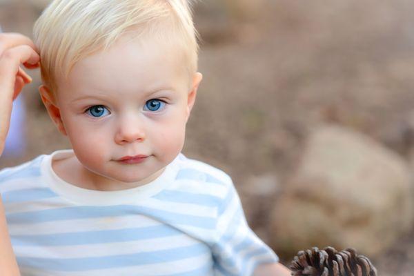 Sven Piper Photography