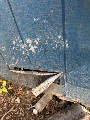 Guardian Pest Management