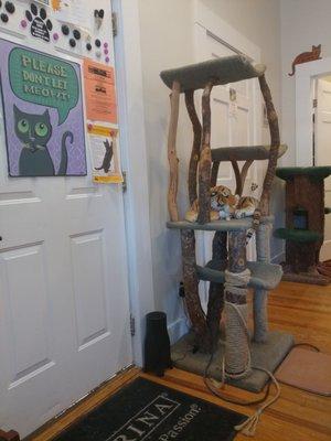 Cat Haven Veterinary Clinic